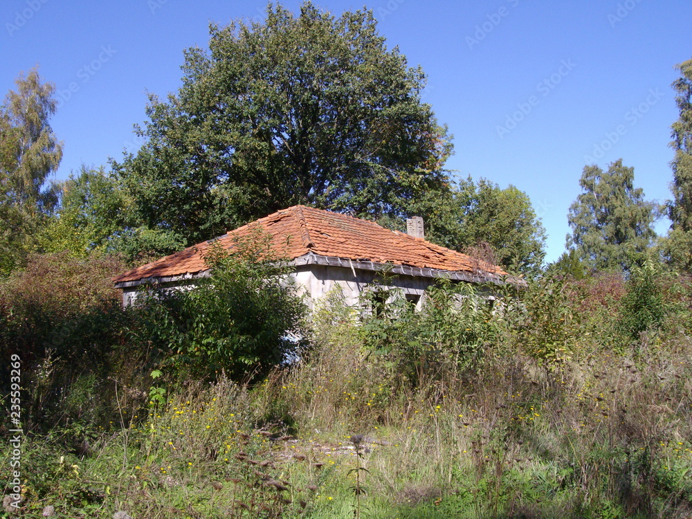 Verlassene und überwachsene Gebäude Verlassene und überwachsene Gebäude