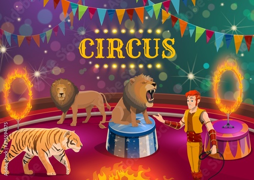 Lion and tiger tamer performing on circus arena photo