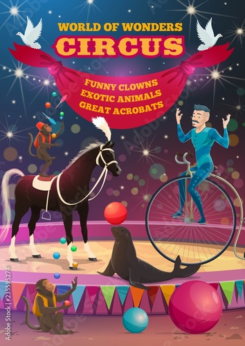 Big top circus acrobat equilibrist, animals show
