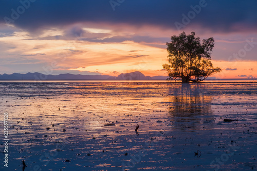 landscape background twilight scenery with sunset and have sunlight reflection on sea © Pangzz