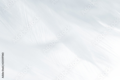 Beautiful white gray colors tone feather texture background