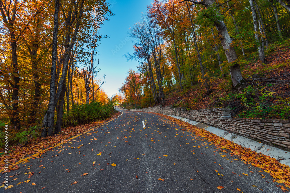 Highway in the autumn mountain forest