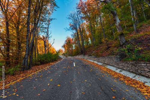 Highway in the autumn mountain forest