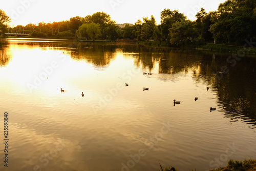 sunset on lake