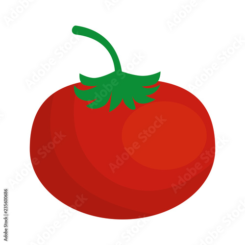 fresh tomato vegetable icon
