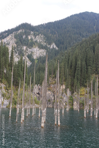 Kazakhstan, Kaiyndy lake, water, lake, nature, landscape, river, reflection, pond, sky, tree, trees, green, grass, forest, blue, summer, mountain, park, spring, autumn, plant photo