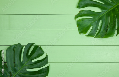 Green leaves on green wooden background.