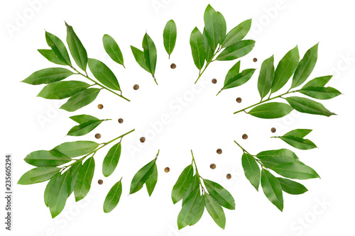 An overhead photo of bay branches like a wreath. Green laurel twigs for eco cookery business. Bay branch and peppercorns isolated on white. Place for text, copyspace. Kitchen spices. photo