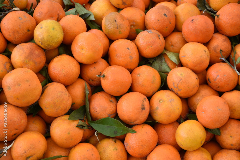 arance biologiche