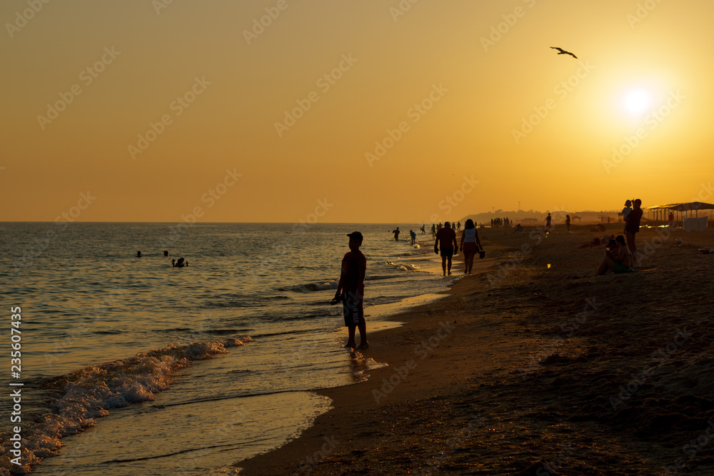 sandy beach at sunset