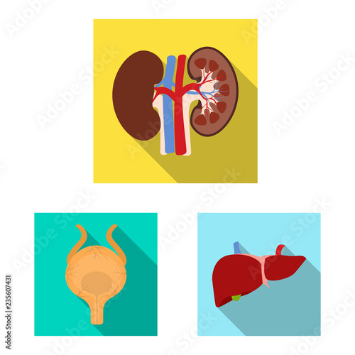 Vector design of body and human icon. Collection of body and medical stock symbol for web.
