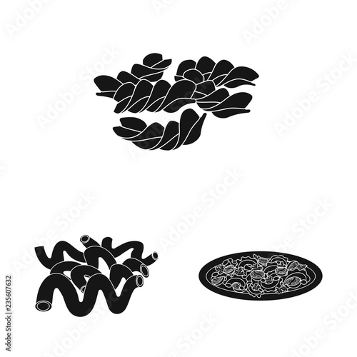 Isolated object of pasta and carbohydrate sign. Collection of pasta and macaroni stock symbol for web.
