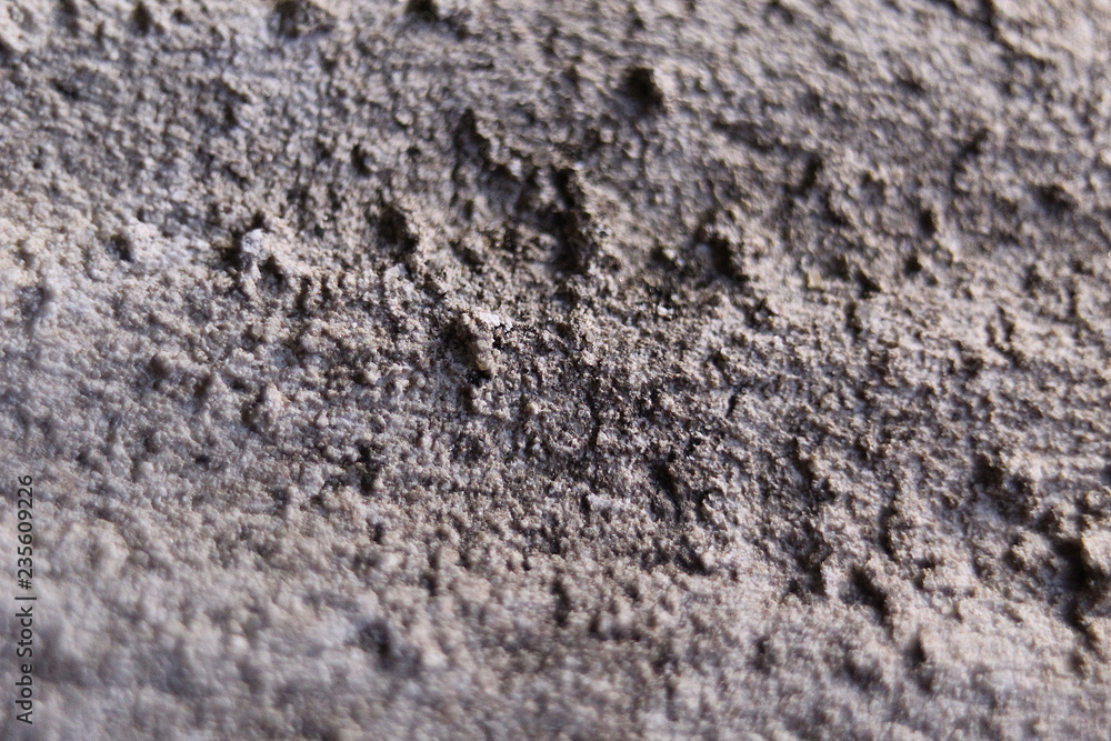 Macro tree background Macro tree background