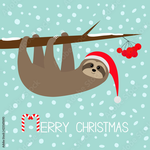 Merry Christmas. Sloth animal hanging on rowan rowanberry sorb berry tree branch. Santa hat. Happy New Year. Cute cartoon funny character. Baby collection. Flat design. Blue snow background.