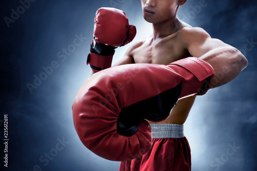 Strong muscular boxer