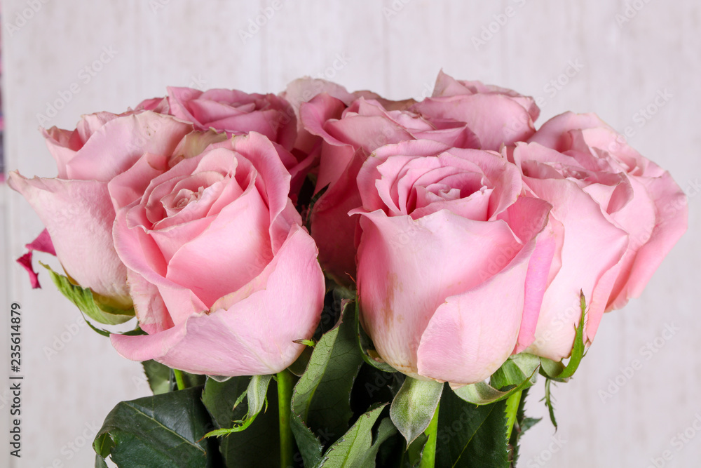 Pink roses bouquet Pink roses bouquet
