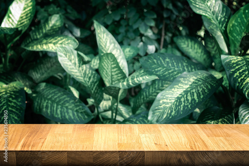 Empty of wood table top on beautiful leaf from garden backgrounds.For montage product display or key visual