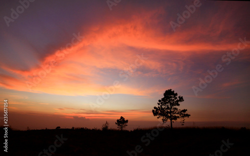 Alone tree sunset © Nguyen
