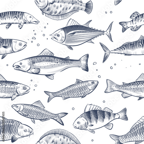 Sketch fishes seamless pattern. Etched ocean fish wrapper vector vintage background. Fish sea and ocean, seafood seamless marine illustration