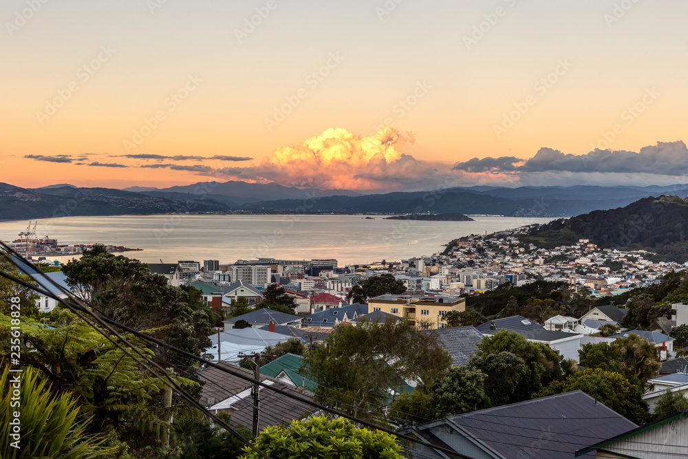 Fototapeta premium Sunset over Wellington city harbor, New Zealand