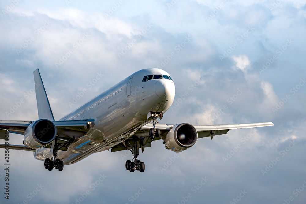 Obraz premium 着陸する旅客機