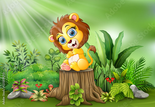 Cute baby lion sitting on tree stump with green plants