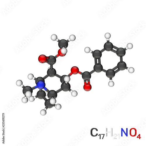 Cocaine model molecule. Iso...