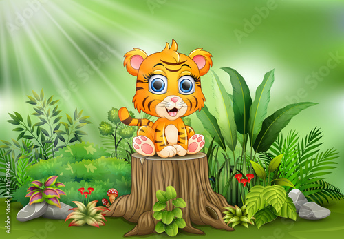 Fototapeta Naklejka Na Ścianę i Meble -  Cute baby tiger sitting on tree stump with green plants background