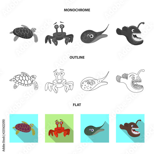 Vector illustration of sea and animal logo. Set of sea and marine stock vector illustration.