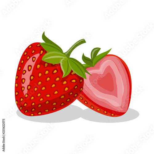 Isolated object of vegetable and fruit sign. Set of vegetable and vegetarian stock symbol for web.