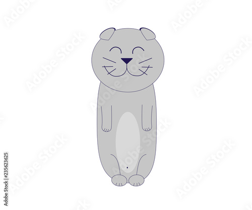 gray contented cat