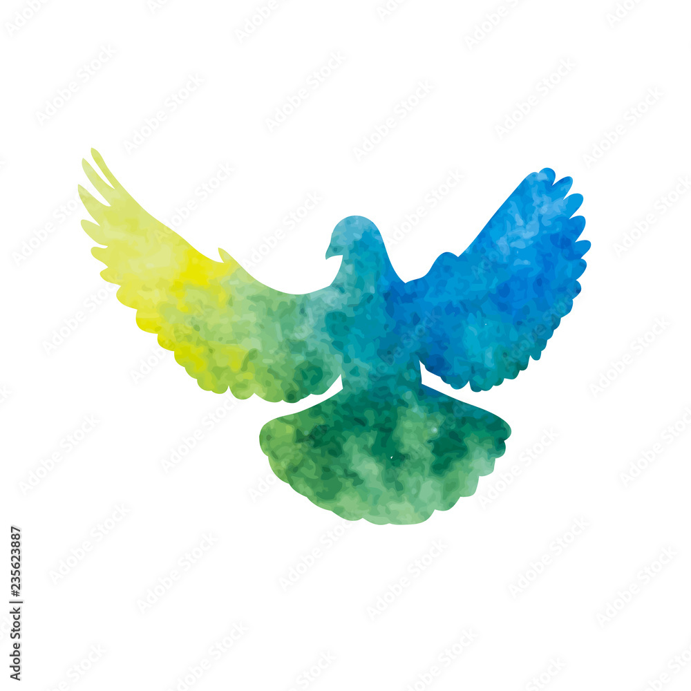Obraz isolated, watercolor dove silhouette, flying bird