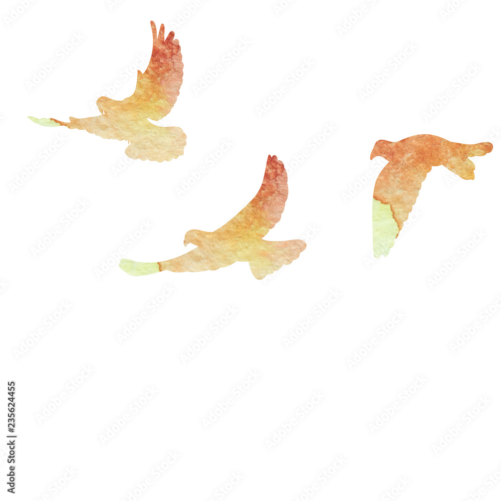 flying flock of watercolor doves flying flock of watercolor doves