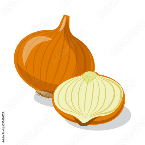 Isolated object of vegetable and fruit sign. Set of vegetable and vegetarian stock vector illustration.