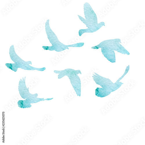 isolated, flock of flying birds, watercolor blue silhouette © zolotons