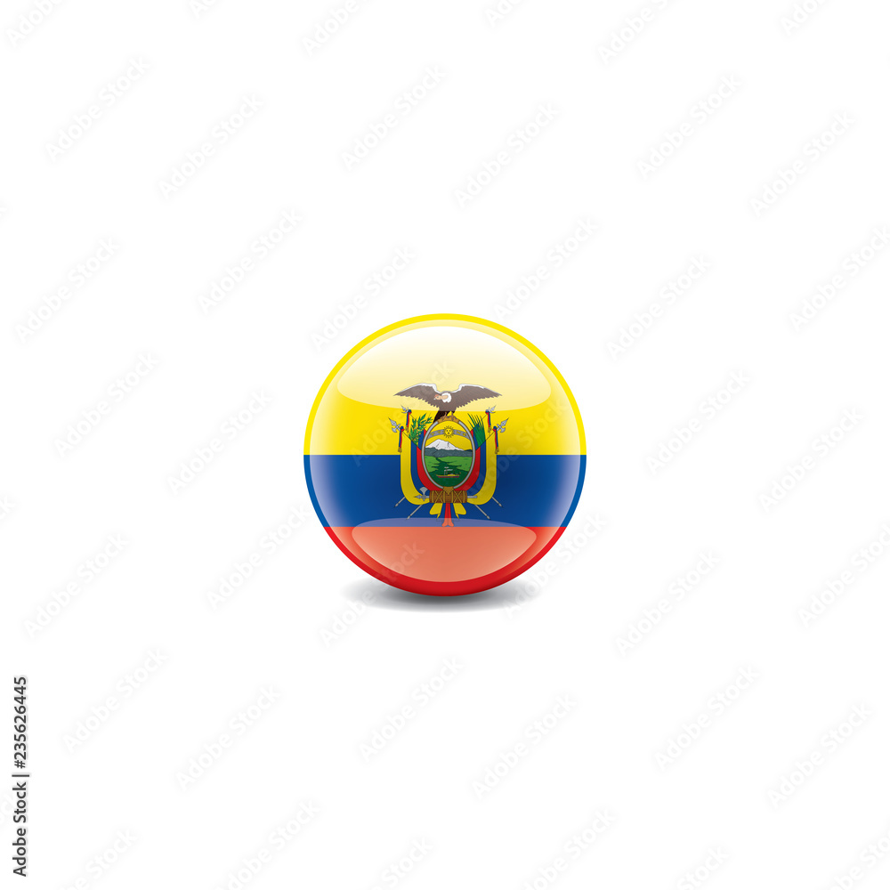 Ecuador flag, vector illustration on a white background Ecuador flag, vector illustration on a white background
