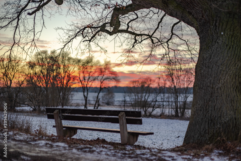 natural frame with the tree, sunset wood bench tree, could evening after snowing