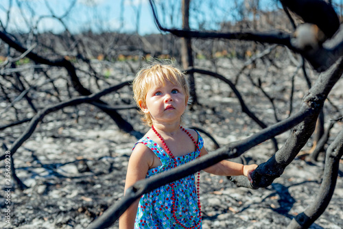 little girl in in blue dress in burnt forest after bush fire with charcoaled trees