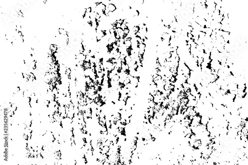 Wallpaper Mural Vector grunge texture. Abstract background, old painted damaged surface. Torontodigital.ca