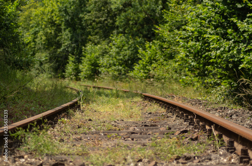 low view of abandoned and rusty train tracks