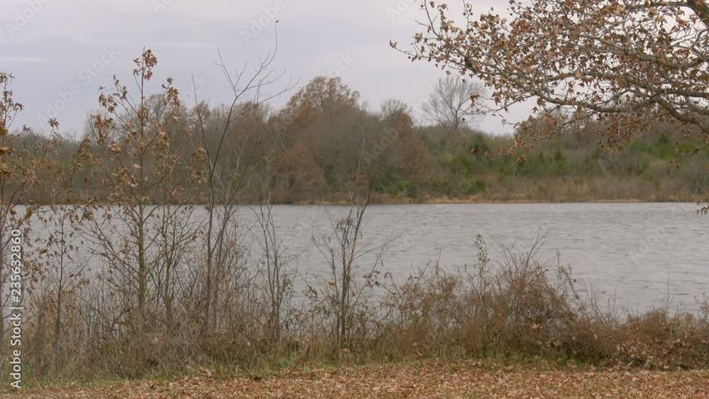 Lake viewed behind trees and bushes during a storm Lake viewed behind trees and bushes during a storm