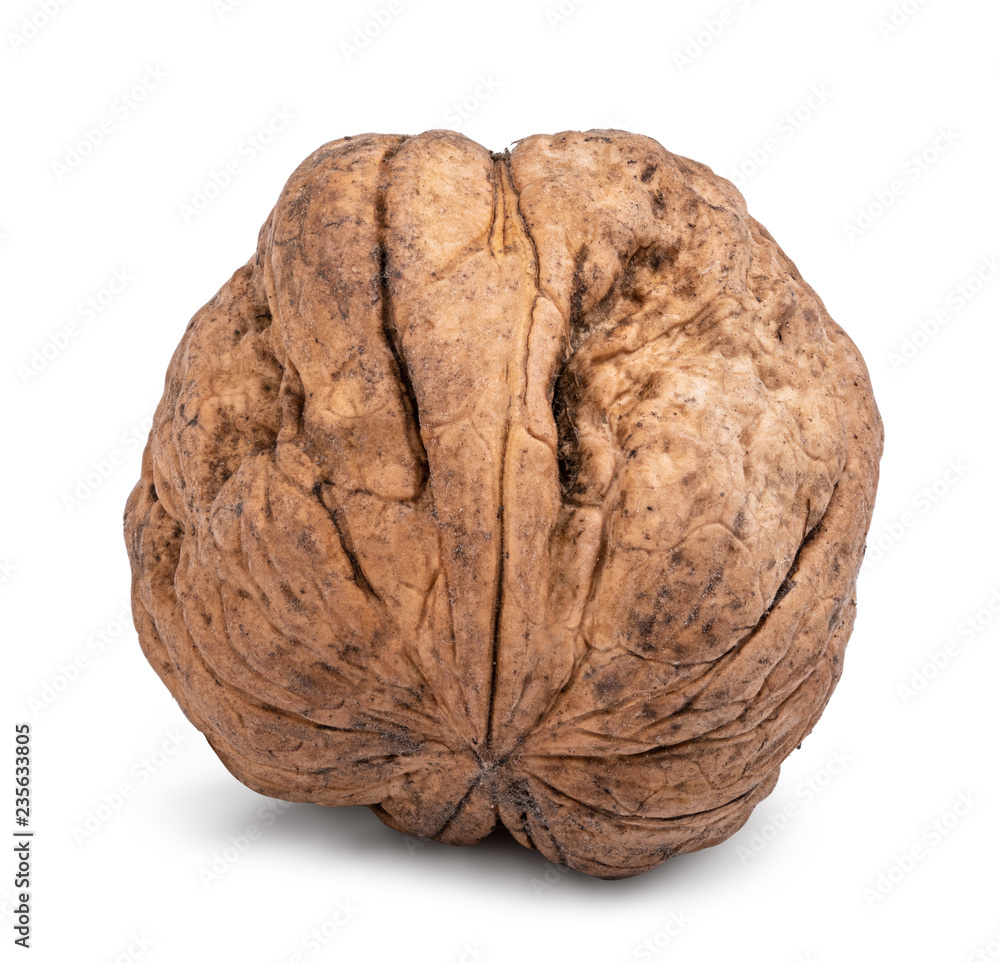 Fototapeta premium Walnut isolated on white background