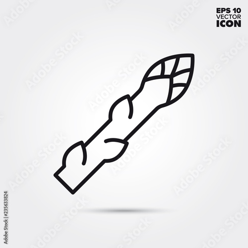 Asparagus vegetable vector line icon
