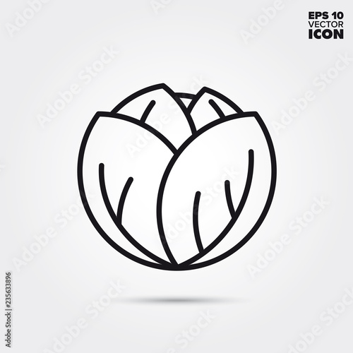 Cabbage head vegetable vector line icon