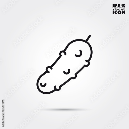 Gherkin vegetable vector line icon