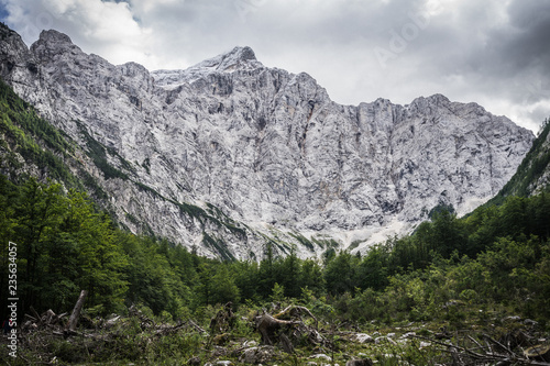 View of the famous north face of Mount Triglav, Triglav National Park. High alpine rock face of Triglav, surrounded with green forest. Clouded sky, high alpine peak and summit covered with snow.