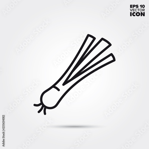 Leek vegetable vector line icon