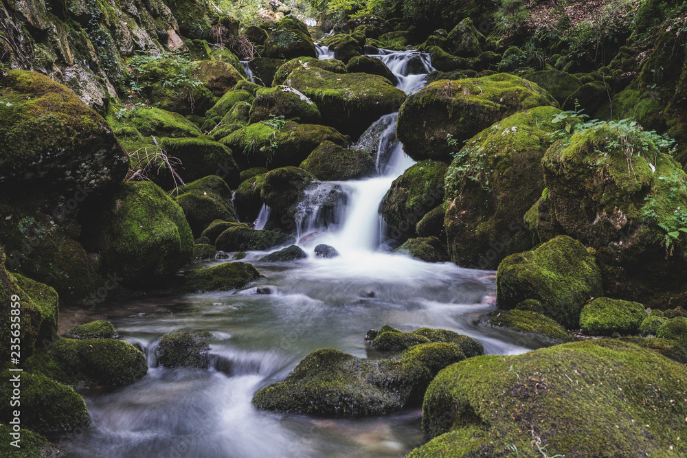 An alpine creek flowing through green stones with moss. Flowing stream, long exposure, blurred water in the forest. An alpine creek flowing through green stones with moss. Flowing stream, long exposure, blurred water in the forest.