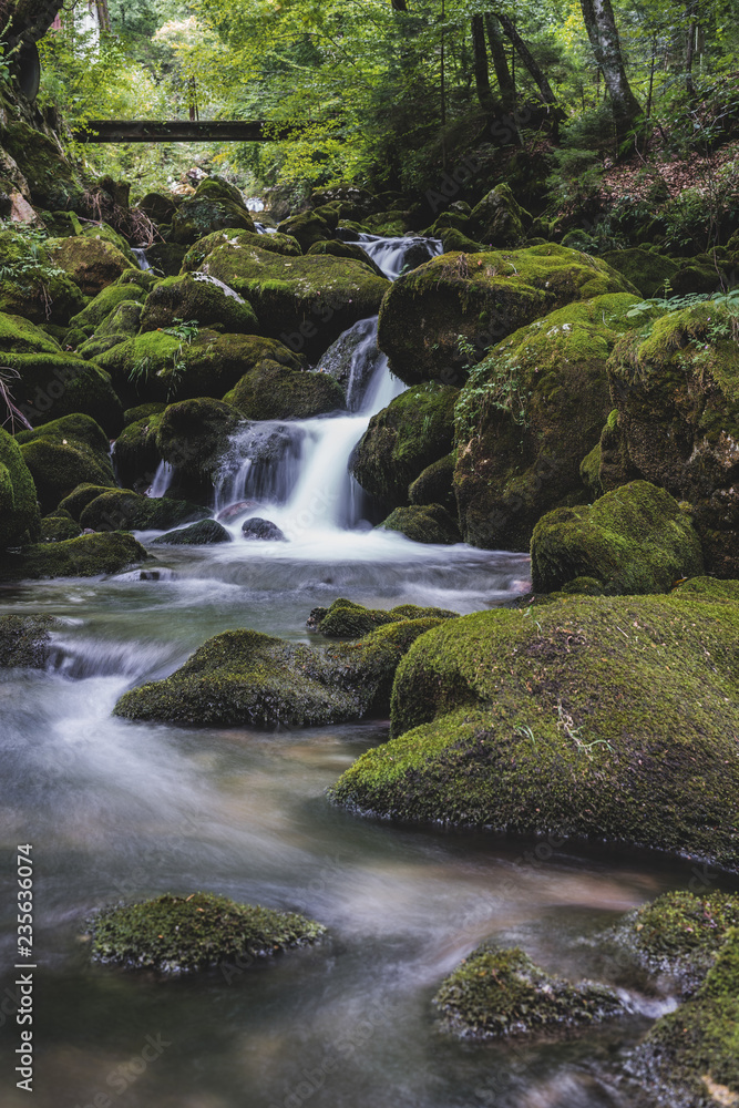 An alpine creek flowing through green stones with moss. Flowing stream, long exposure, blurred water in the forest.
