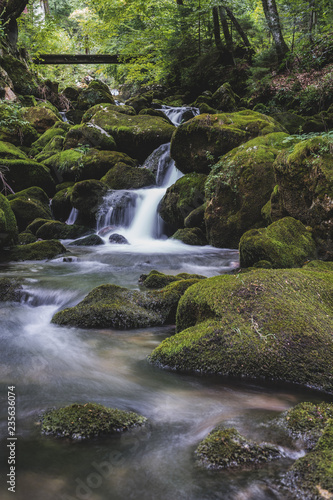 An alpine creek flowing through green stones with moss. Flowing stream, long exposure, blurred water in the forest.